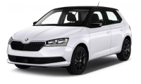 Fabia 3 (15)